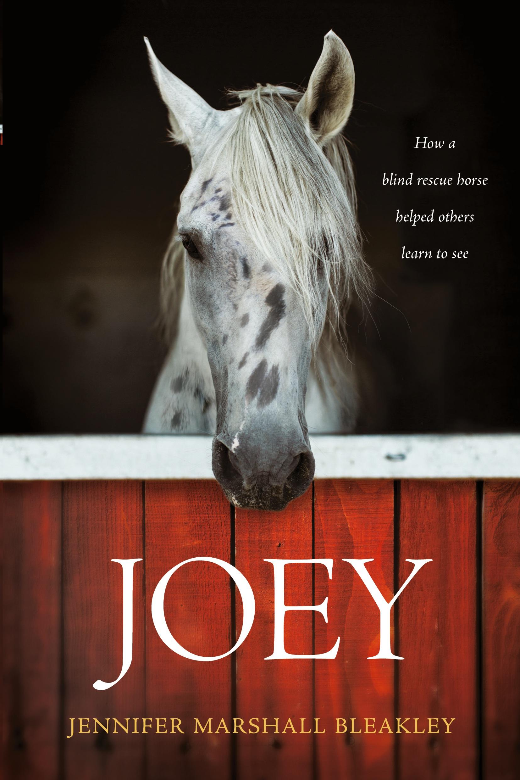 Cover: 9781496421753 | Joey | Jennifer Marshall Bleakley | Taschenbuch | Englisch | 2018