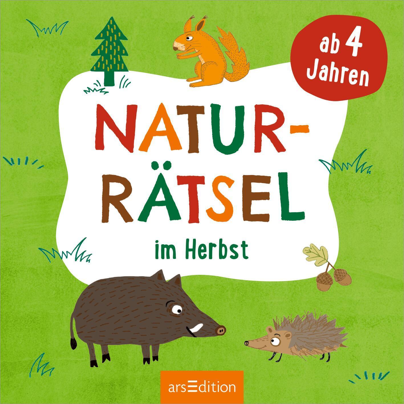 Bild: 9783845859934 | Naturrätsel im Herbst | Ab 4 Jahren | Eleanor Sommer | Taschenbuch