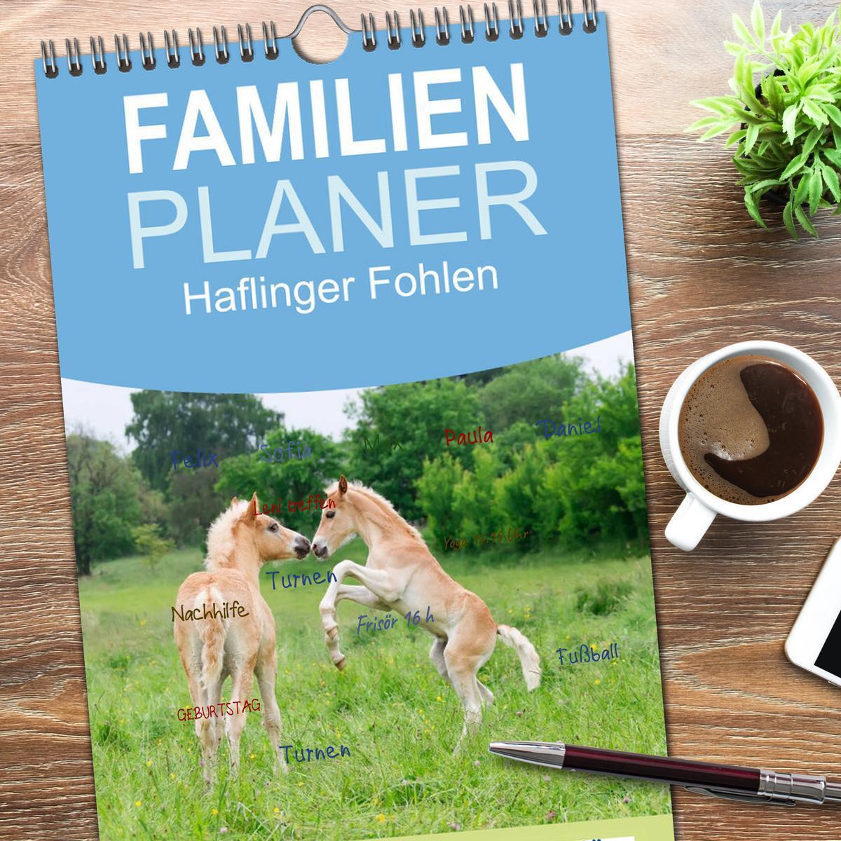 Bild: 9783457110775 | Familienplaner 2025 - Haflinger Fohlen mit 5 Spalten (Wandkalender,...