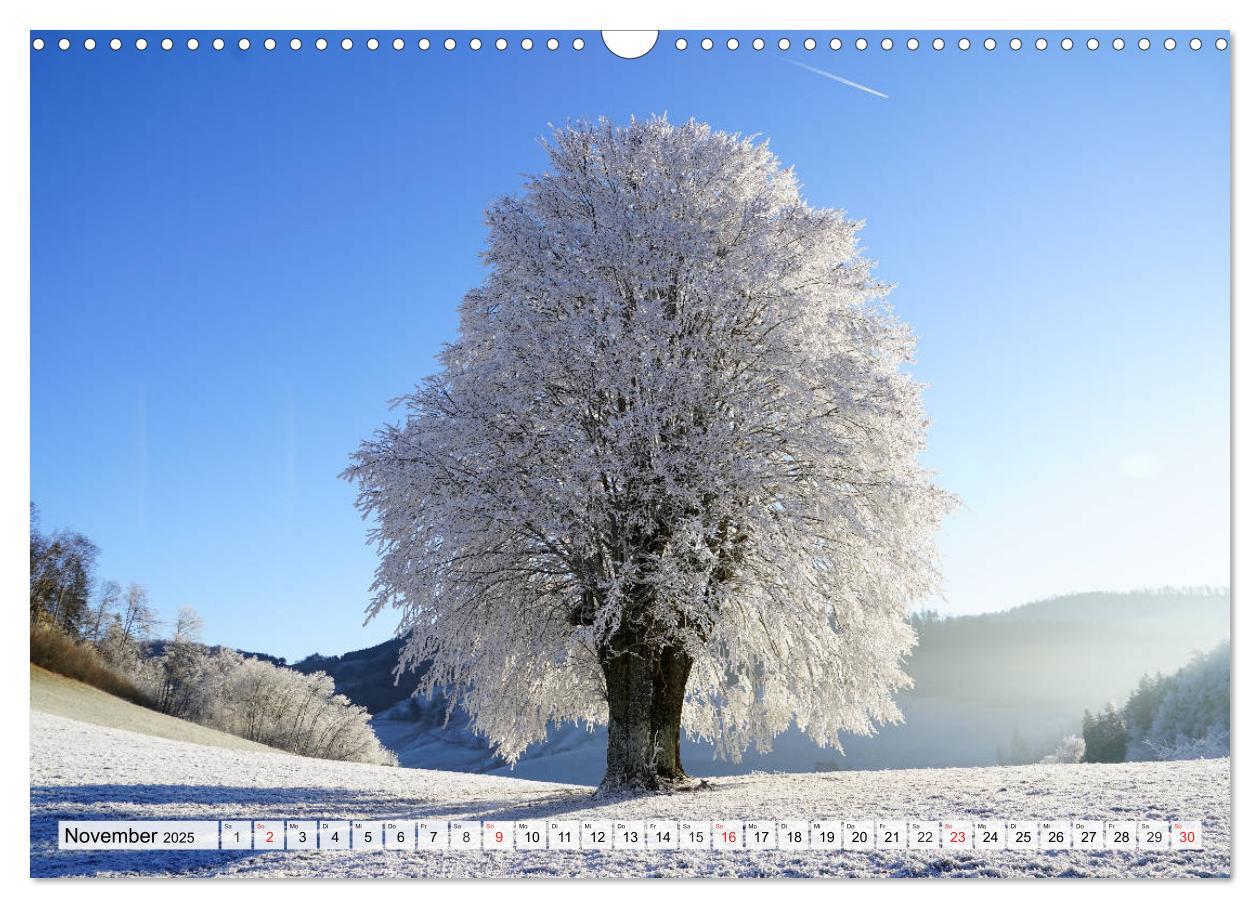 Bild: 9783435317417 | Winter. Zauberhafte Schneelandschaften (Wandkalender 2025 DIN A3...