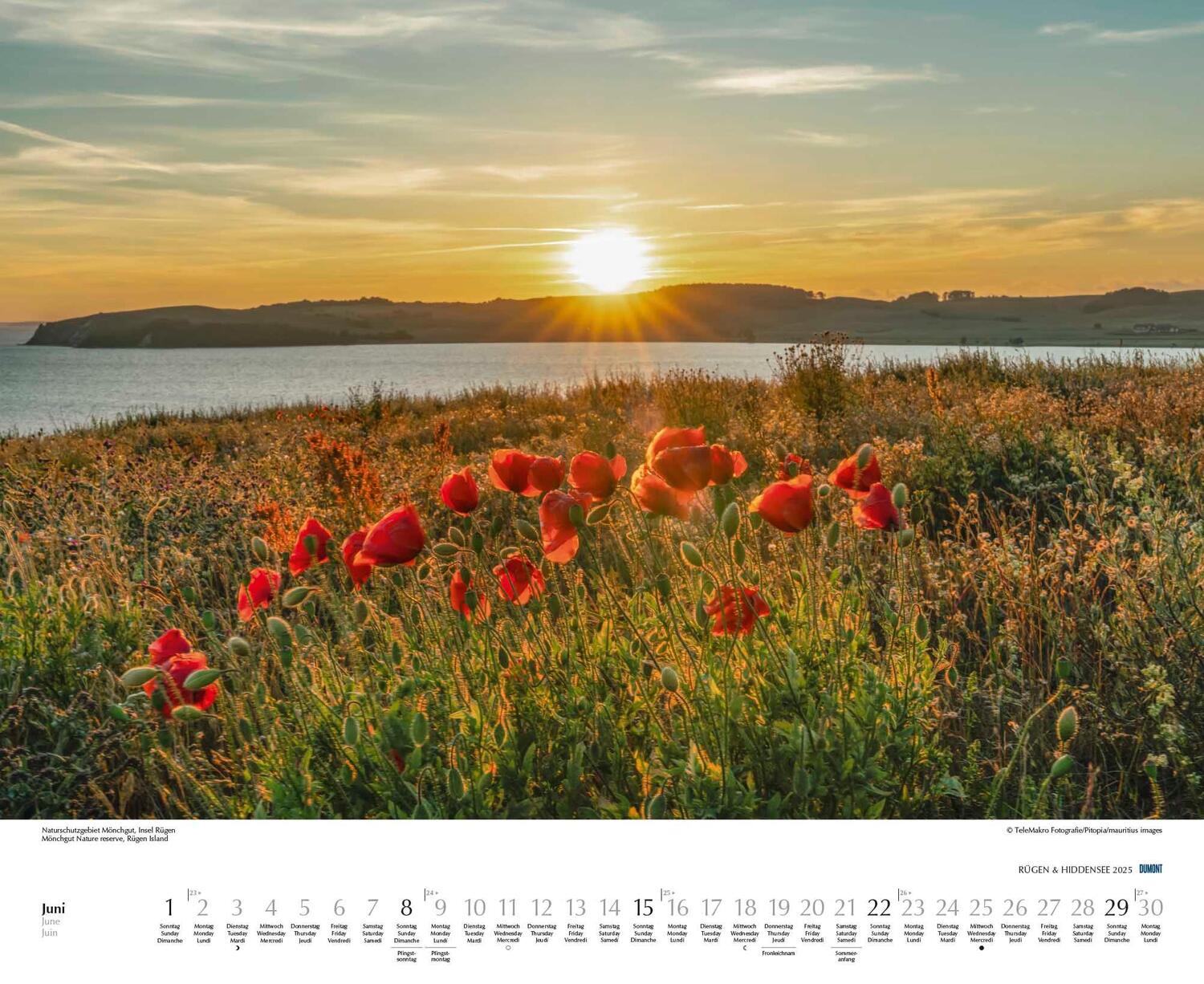 Bild: 4250809652726 | Rügen &amp; Hiddensee 2025 - Wandkalender 52 x 42,5 cm - Spiralbindung