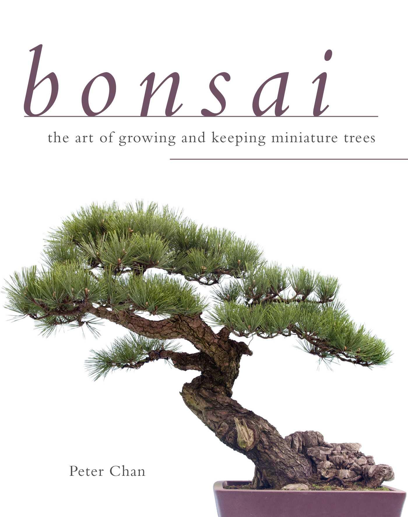 Cover: 9781629141688 | Bonsai | The Art of Growing and Keeping Miniature Trees | Peter Chan