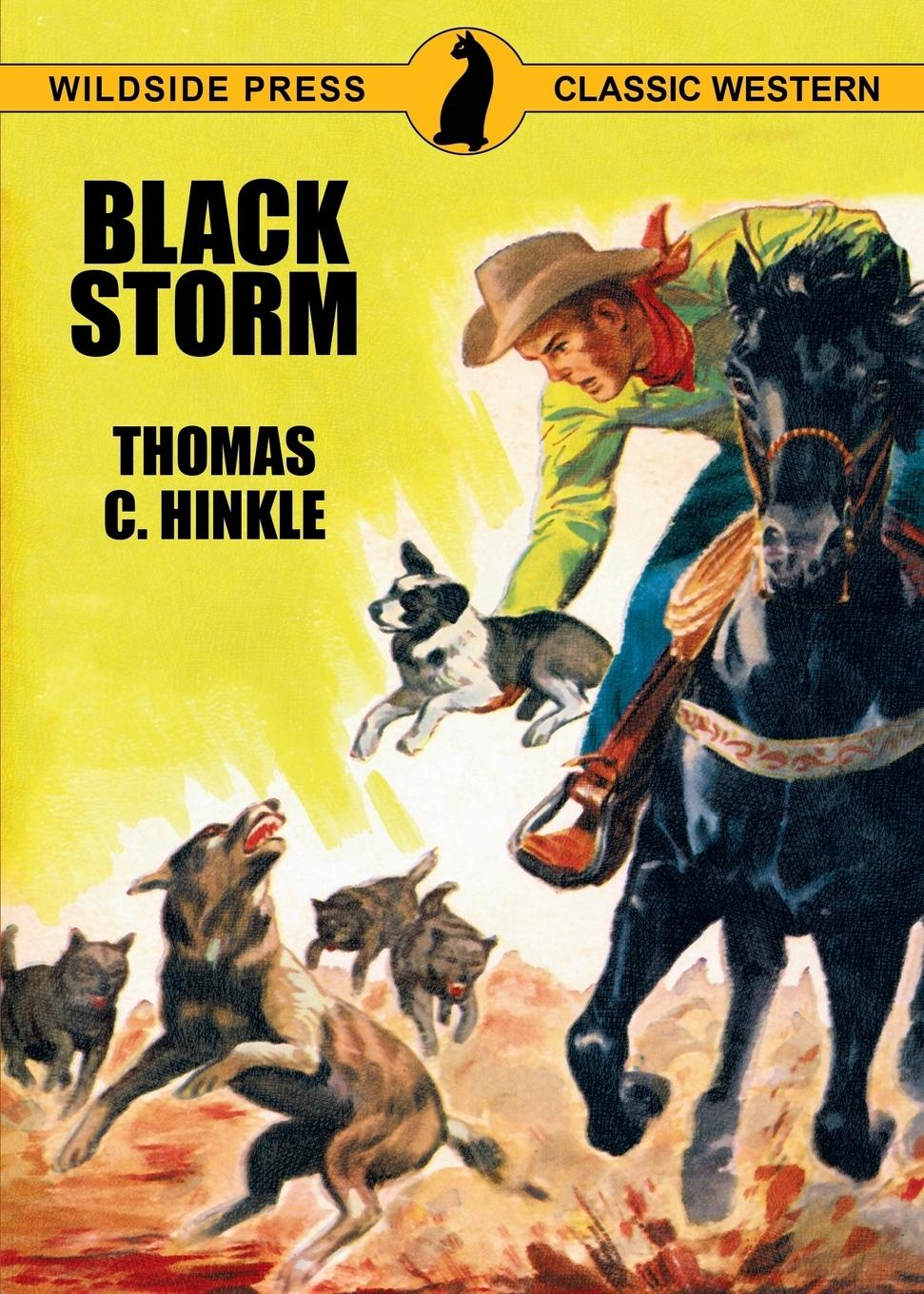 Cover: 9781479430598 | Black Storm | Thomas C. Hinkle | Taschenbuch | Englisch | 2018