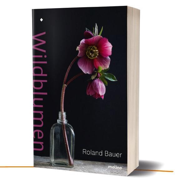 Cover: 9783948696078 | Wildblumen | Roland Bauer | Buch | 173 S. | Deutsch | 2020