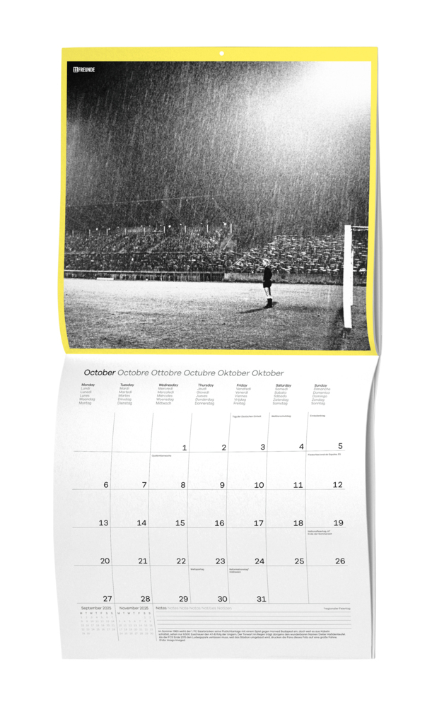 Bild: 4002725995216 | Ein Flutlichtkalender von 11FREUNDE 2025 - Wand-Kalender -...