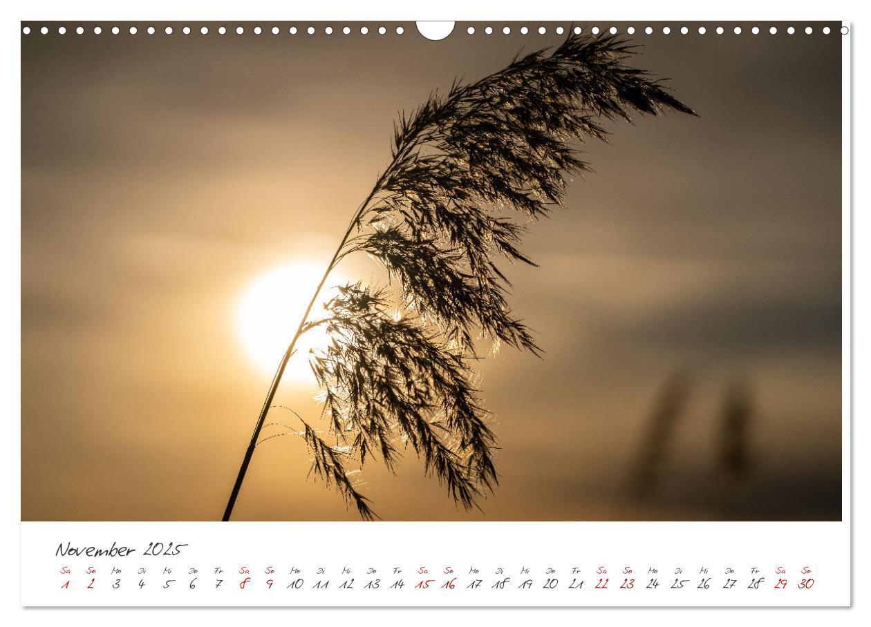 Bild: 9783435088294 | Sonnenuntergang am Ammersee (Wandkalender 2025 DIN A3 quer),...