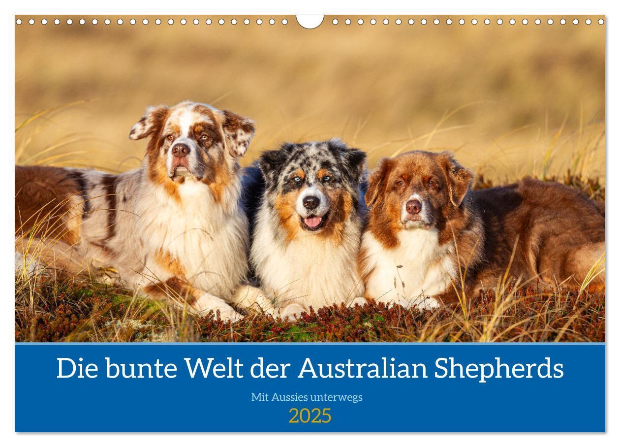 Cover: 9783435762569 | Mit Aussies unterwegs - Die bunte Welt der Australian Shepherds...