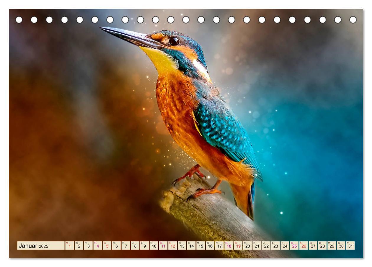 Bild: 9783435332618 | Wunderschöner Eisvogel (Tischkalender 2025 DIN A5 quer), CALVENDO...