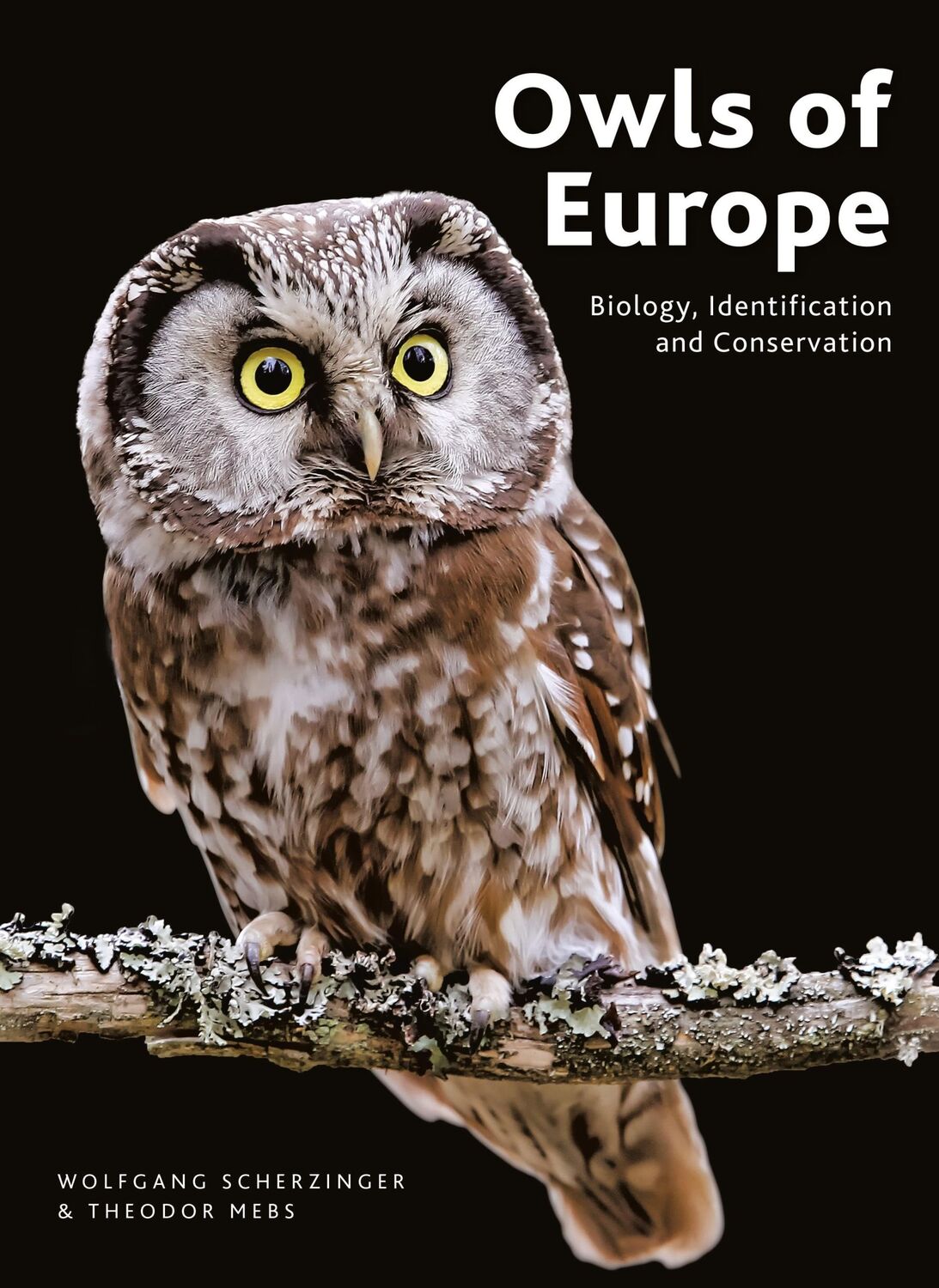 Cover: 9781399410793 | Owls of Europe | Biology, Identification and Conservation | Buch