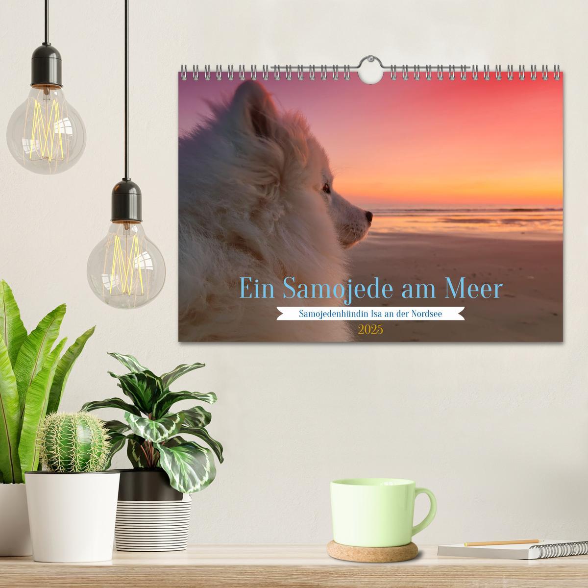 Bild: 9783435014439 | Ein Samojede am Meer (Wandkalender 2025 DIN A4 quer), CALVENDO...