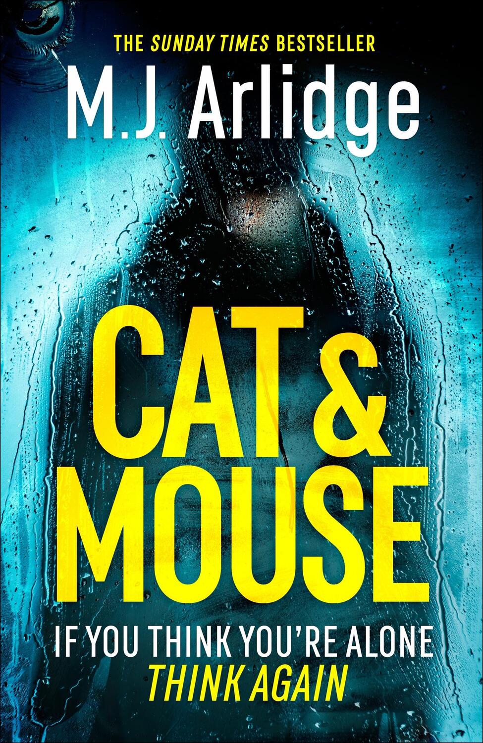 Cover: 9781409188520 | Cat and Mouse | M J Arlidge | Taschenbuch | 500 S. | Englisch | 2023