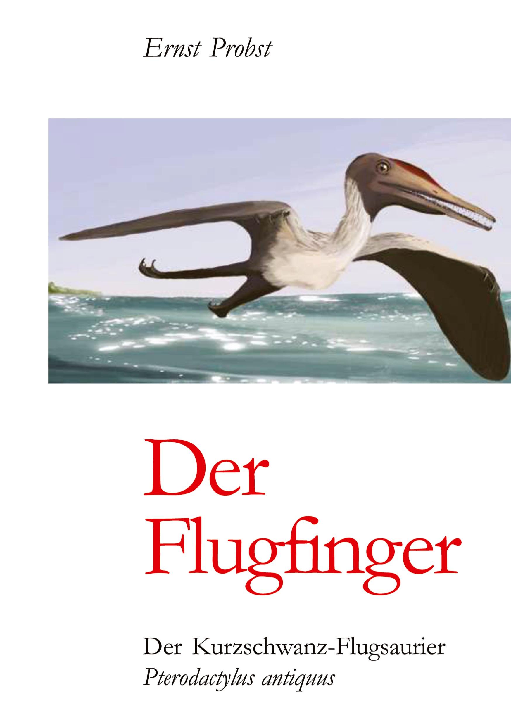 Cover: 9783384535306 | Der Flugfinger | Der Kurzschwanz-Flugsaurier Pterodactylus antiquus