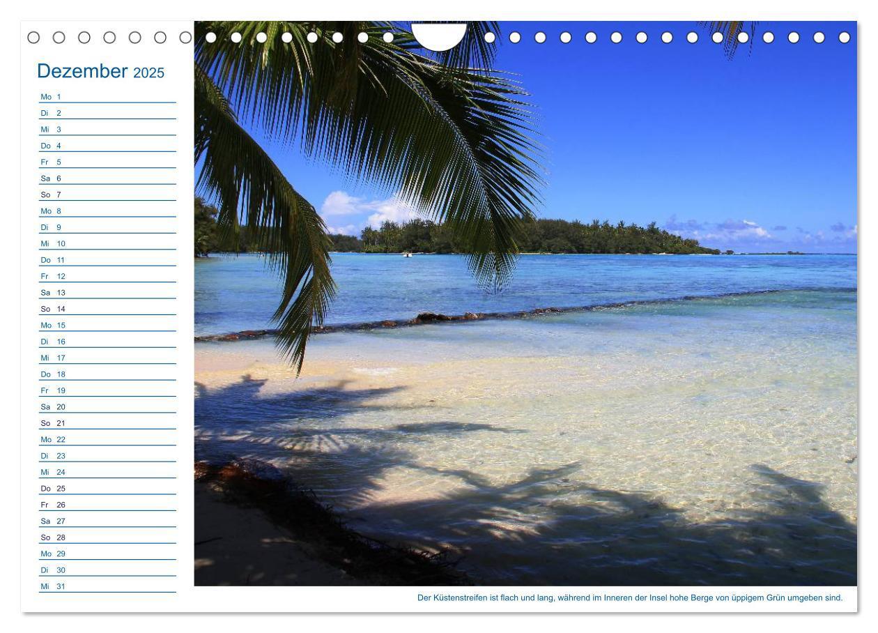 Bild: 9783435509874 | Südsee-Insel Mo'orea (Wandkalender 2025 DIN A4 quer), CALVENDO...