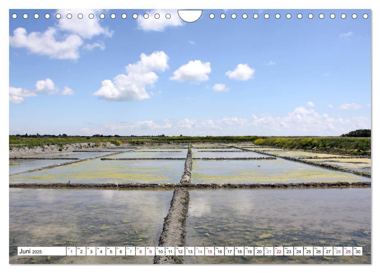 Bild: 9783435305896 | Île de Ré (Wandkalender 2025 DIN A4 quer), CALVENDO Monatskalender