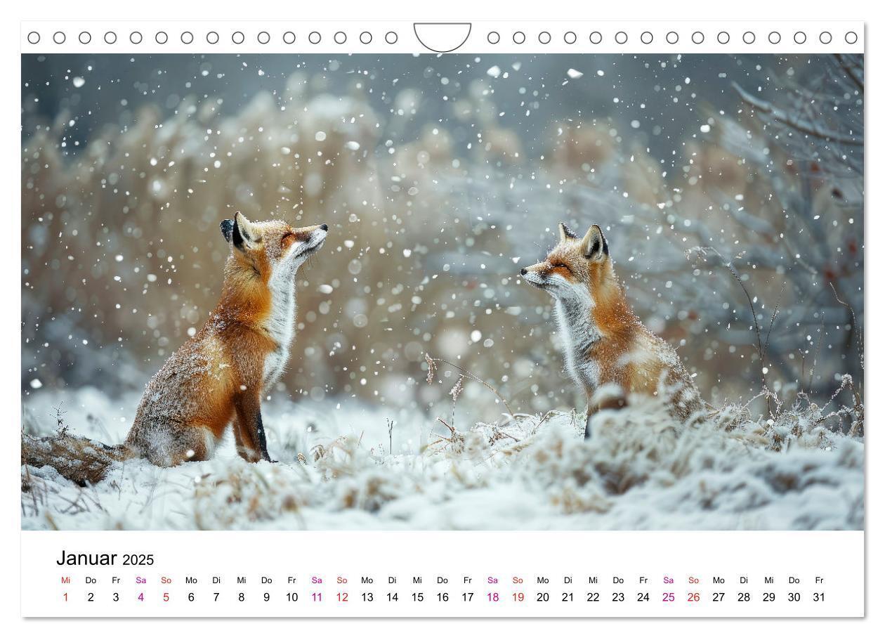 Bild: 9783383815126 | Fuchs - schöne Momente (Wandkalender 2025 DIN A4 quer), CALVENDO...