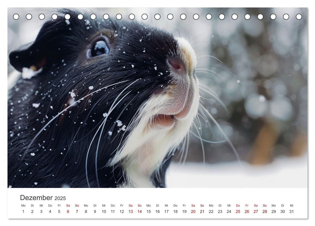 Bild: 9783383812378 | Wuschelbande - Ein Jahr voller Meerschweinchen (Tischkalender 2025...