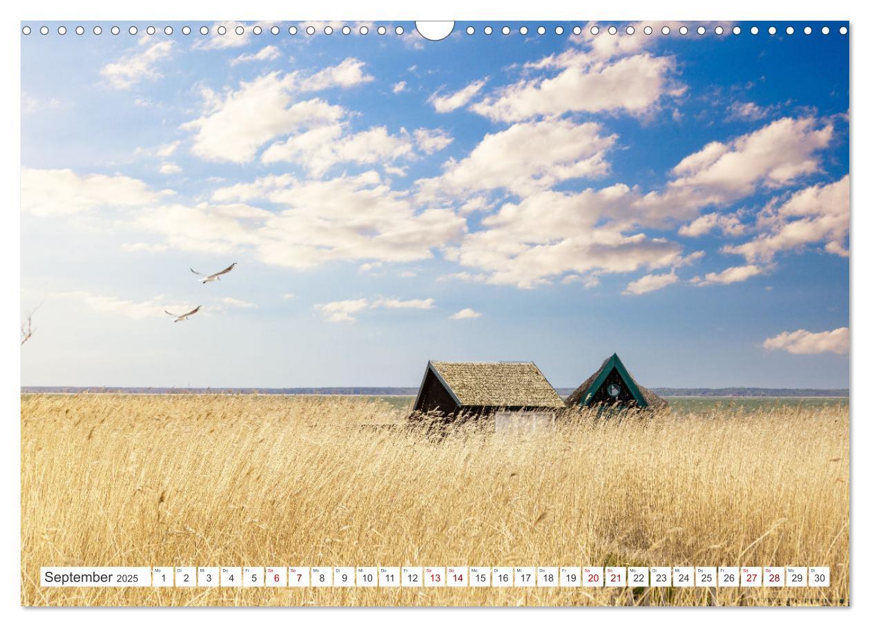 Bild: 9783383954825 | Fischland Darß, Land zwischen Ostsee und Bodden (Wandkalender 2025...