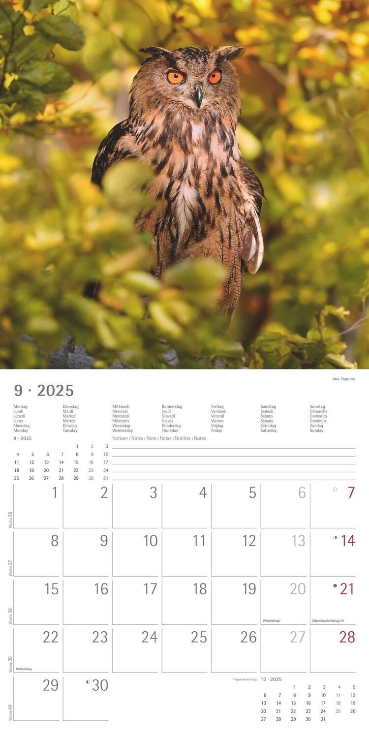 Bild: 4251732340803 | Wald und Flur 2025 - Broschürenkalender 30x30 cm (30x60 geöffnet) -...