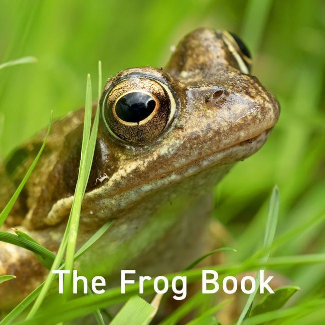 Cover: 9781802583557 | Frog Book, The | Jo Byrne | Buch | Gebunden | Englisch | 2023