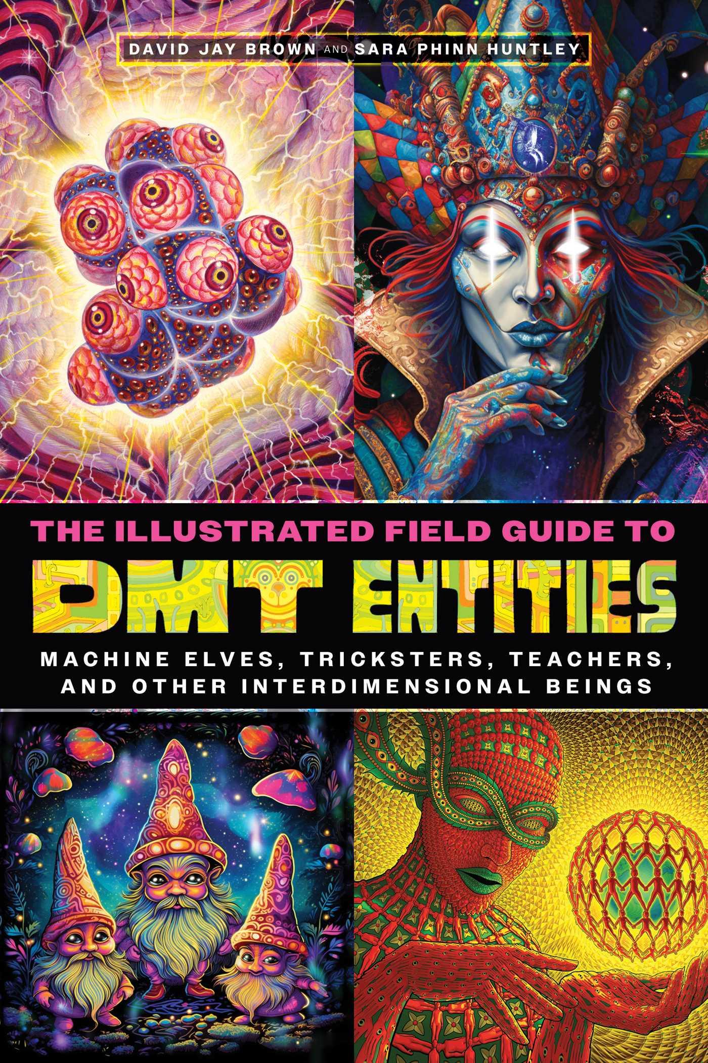 Cover: 9781644119198 | The Illustrated Field Guide to Dmt Entities | David Jay Brown (u. a.)