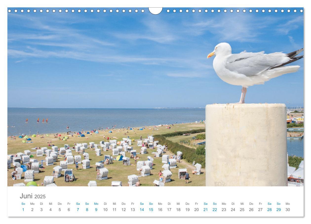 Bild: 9783435071548 | Moin Norden-Norddeich (Wandkalender 2025 DIN A3 quer), CALVENDO...