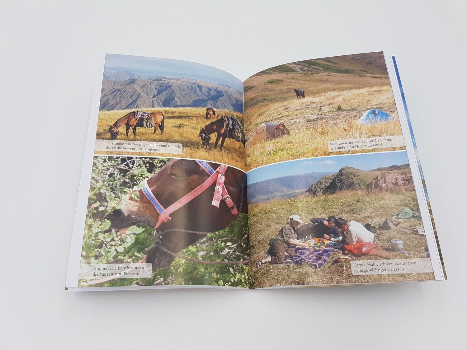 Bild: 9783492406468 | Wildes Kasachstan | Carmen Rohrbach | Taschenbuch | 256 S. | Deutsch