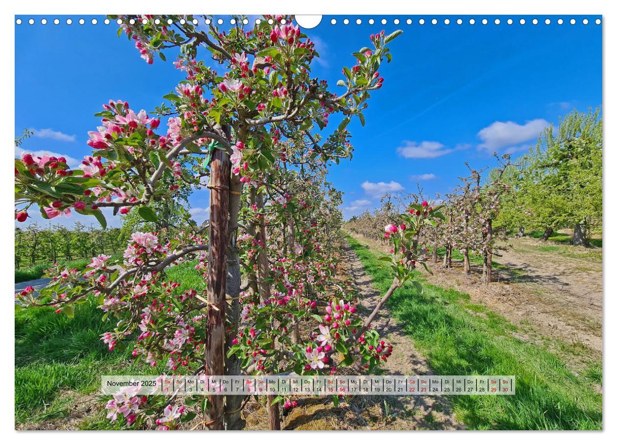 Bild: 9783383970450 | Altes Land im Frühling - Mit dem Fahrrad unterwegs (Wandkalender...