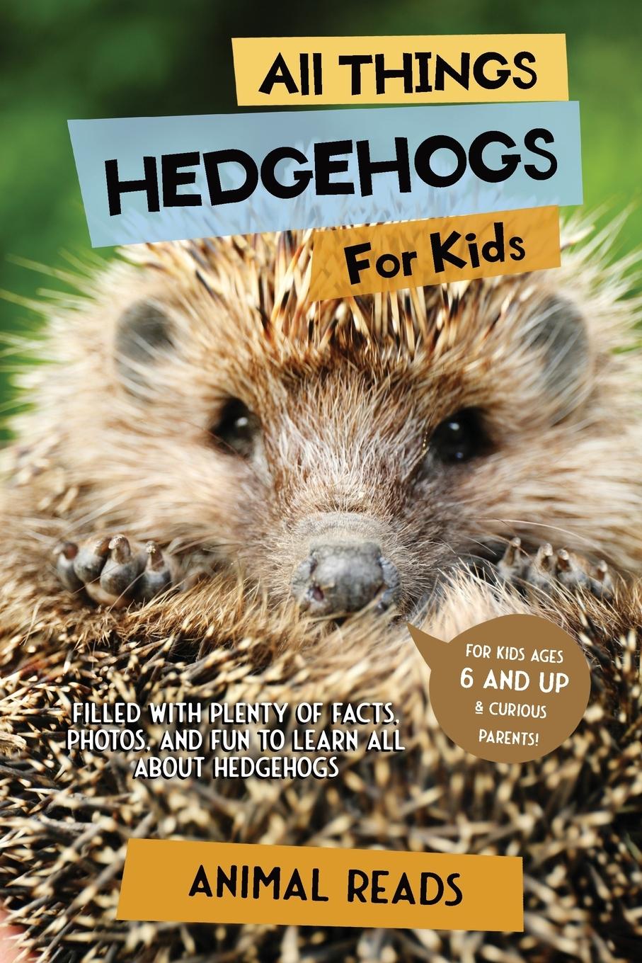 Cover: 9783967721270 | All Things Hedgehogs For Kids | Animal Reads | Taschenbuch | Englisch