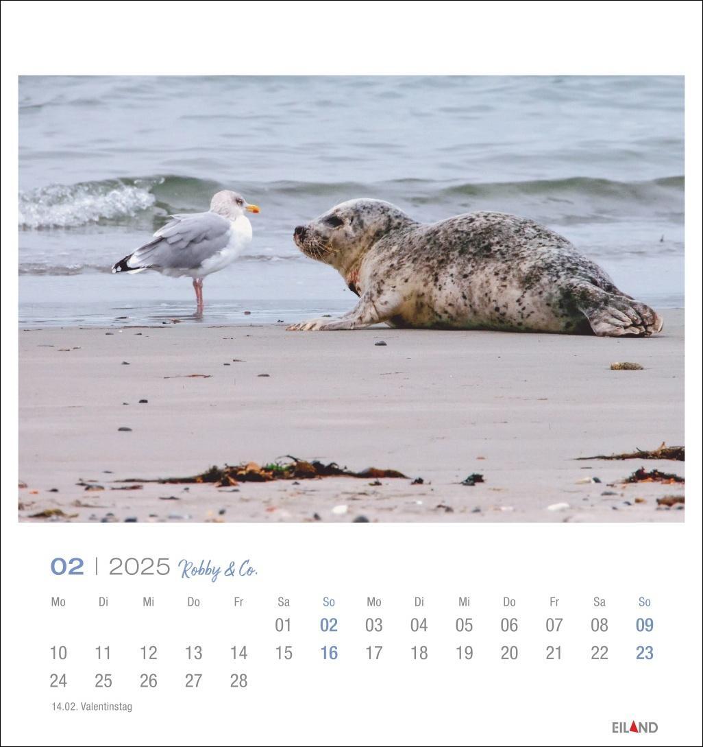 Bild: 9783964023322 | Robby &amp; Co. Postkartenkalender 2025 | Kalender | Spiralbindung | 13 S.