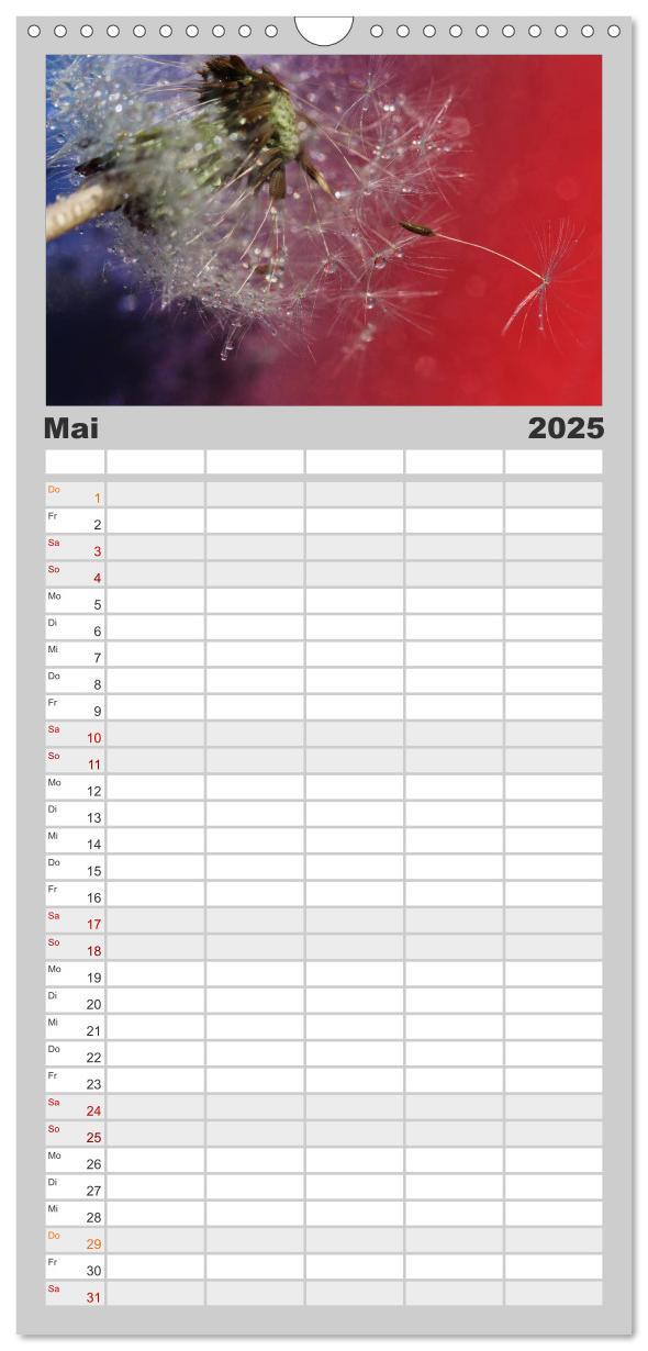 Bild: 9783457125632 | Familienplaner 2025 - Puste mal! mit 5 Spalten (Wandkalender, 21 x...