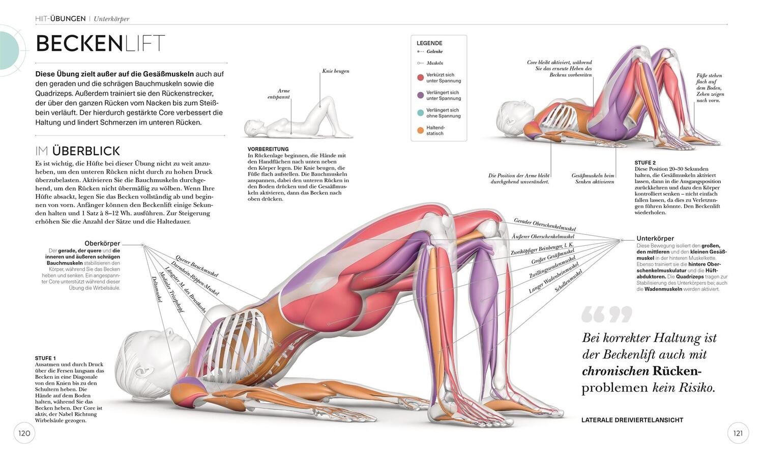 Bild: 9783831045303 | HIIT - Die Anatomie verstehen | Ingrid S. Clay | Taschenbuch | 224 S.