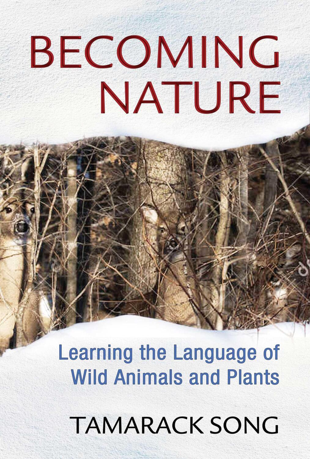 Cover: 9781591432111 | Becoming Nature | Learning the Language of Wild Animals and Plants