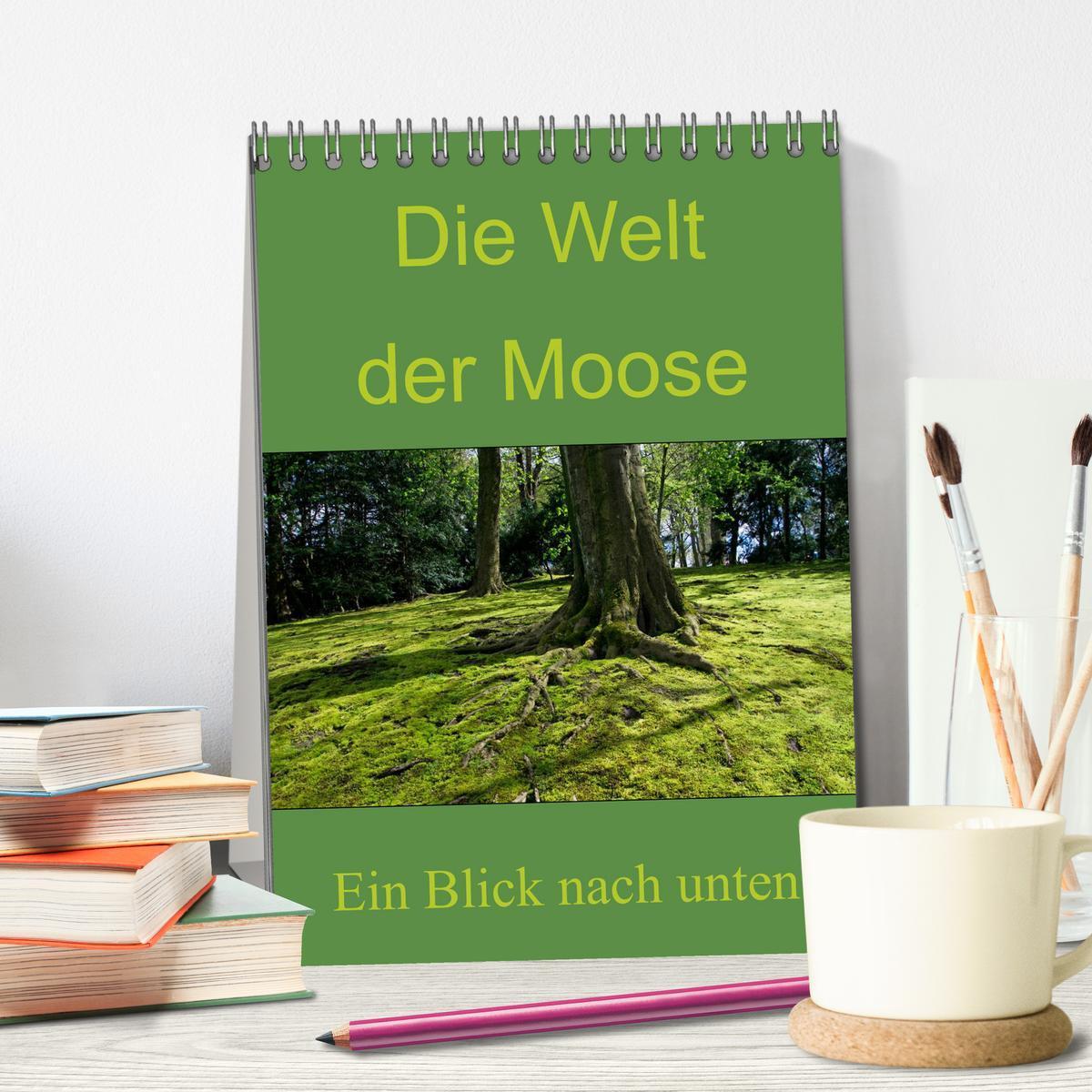 Bild: 9783457006092 | Die Welt der Moose. Ein Blick nach unten (Tischkalender 2025 DIN A5...