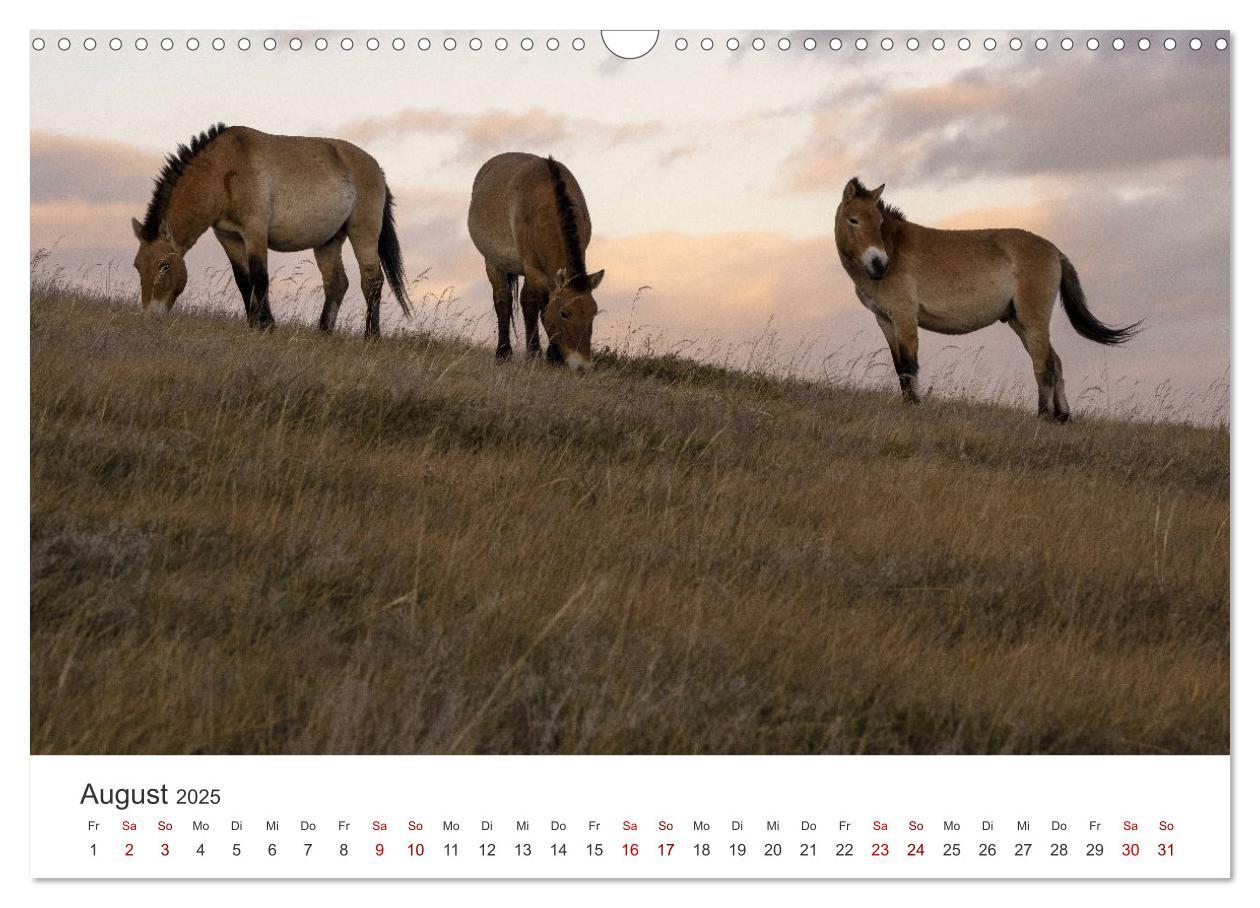 Bild: 9783383985348 | Mongolei - Bezaubernde Natur in einem wunderschönen Land....