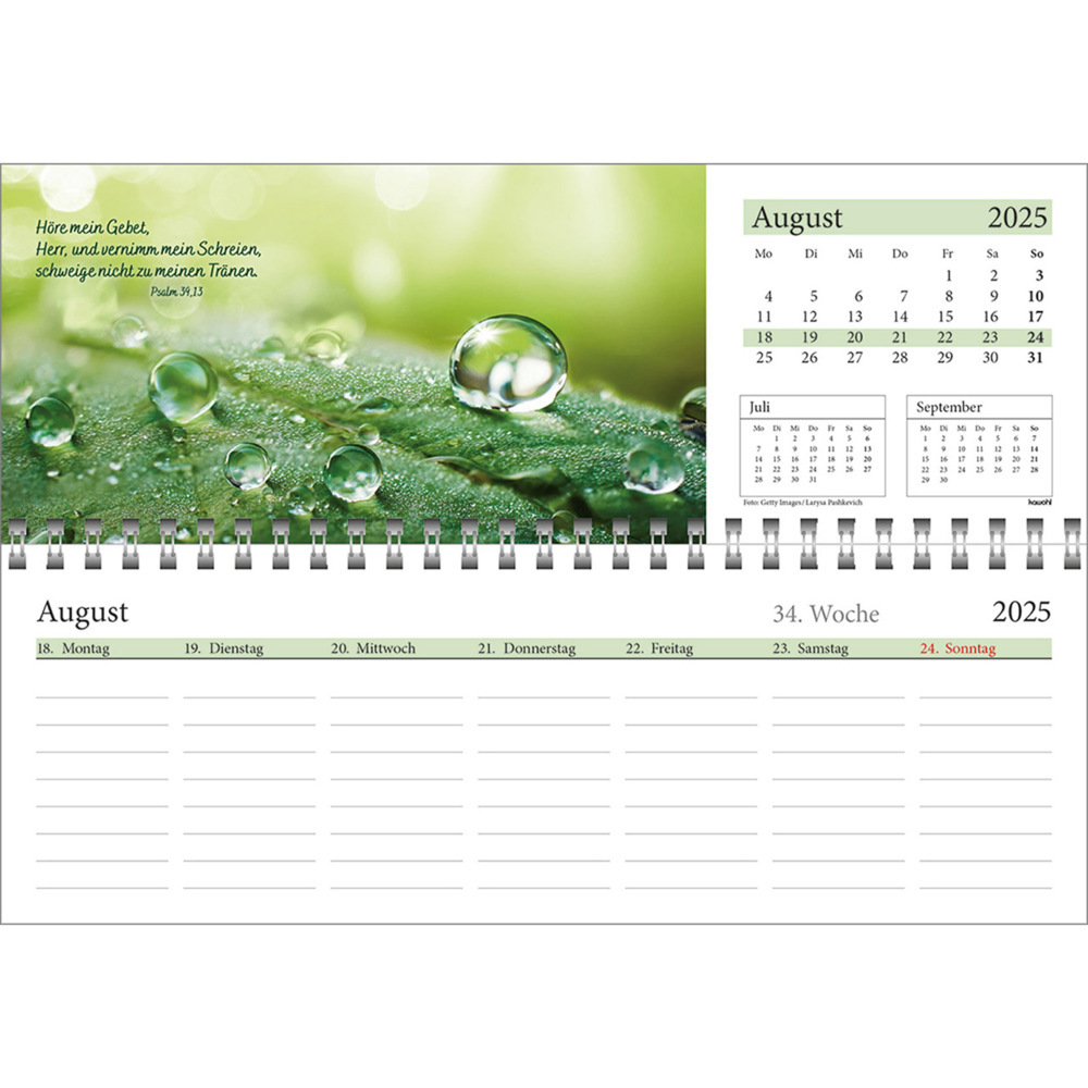 Bild: 9783754825457 | In deine Hand leg ich den Tag 2025 | Wochen-Tischkalender | Kalender