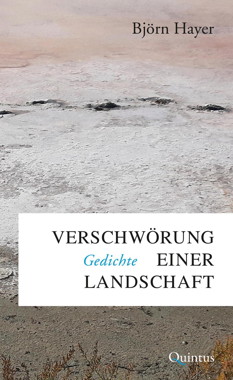 Cover: 9783969820483 | Verschwörung einer Landschaft | Gedichte | Björn Hayer | Taschenbuch