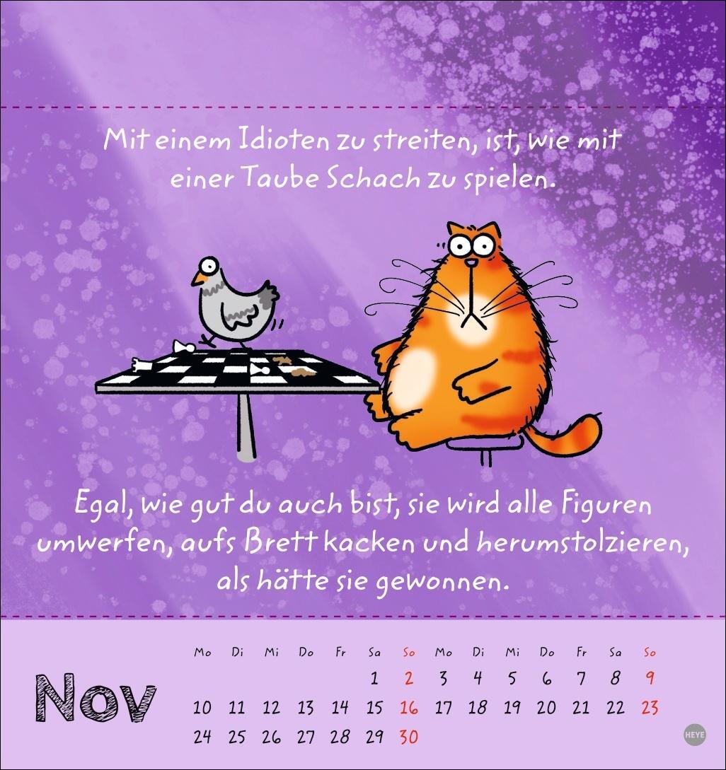 Bild: 9783756406951 | Catzz Postkartenkalender 2025 | Kalender | Postkartenkalender Heye