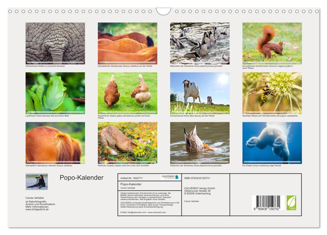 Bild: 9783435150731 | Popo-Kalender (Wandkalender 2025 DIN A3 quer), CALVENDO Monatskalender