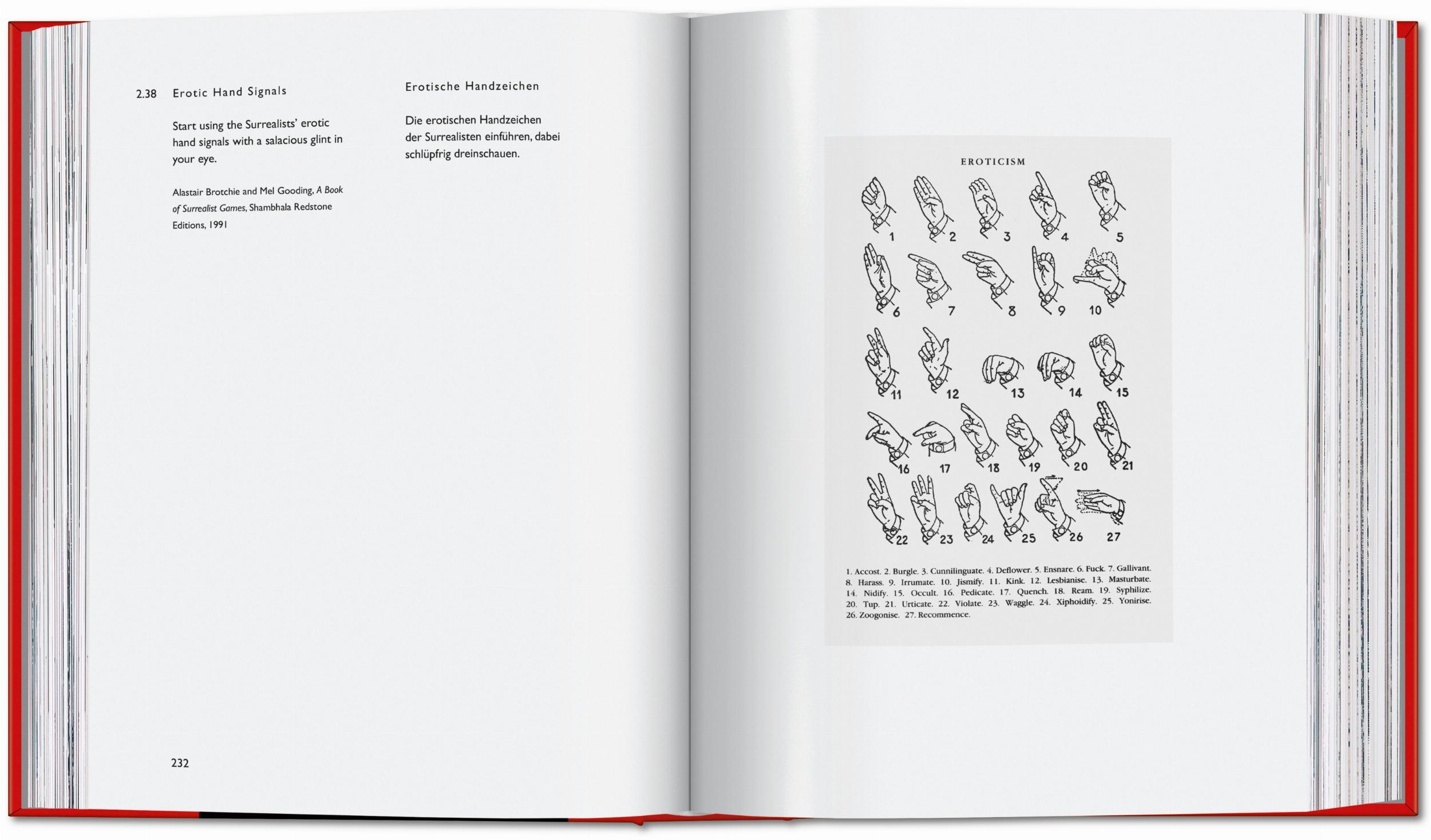 Bild: 9783836582230 | Carsten Höller. Book of Games | Carsten Höller | Buch | 760 S. | 2024