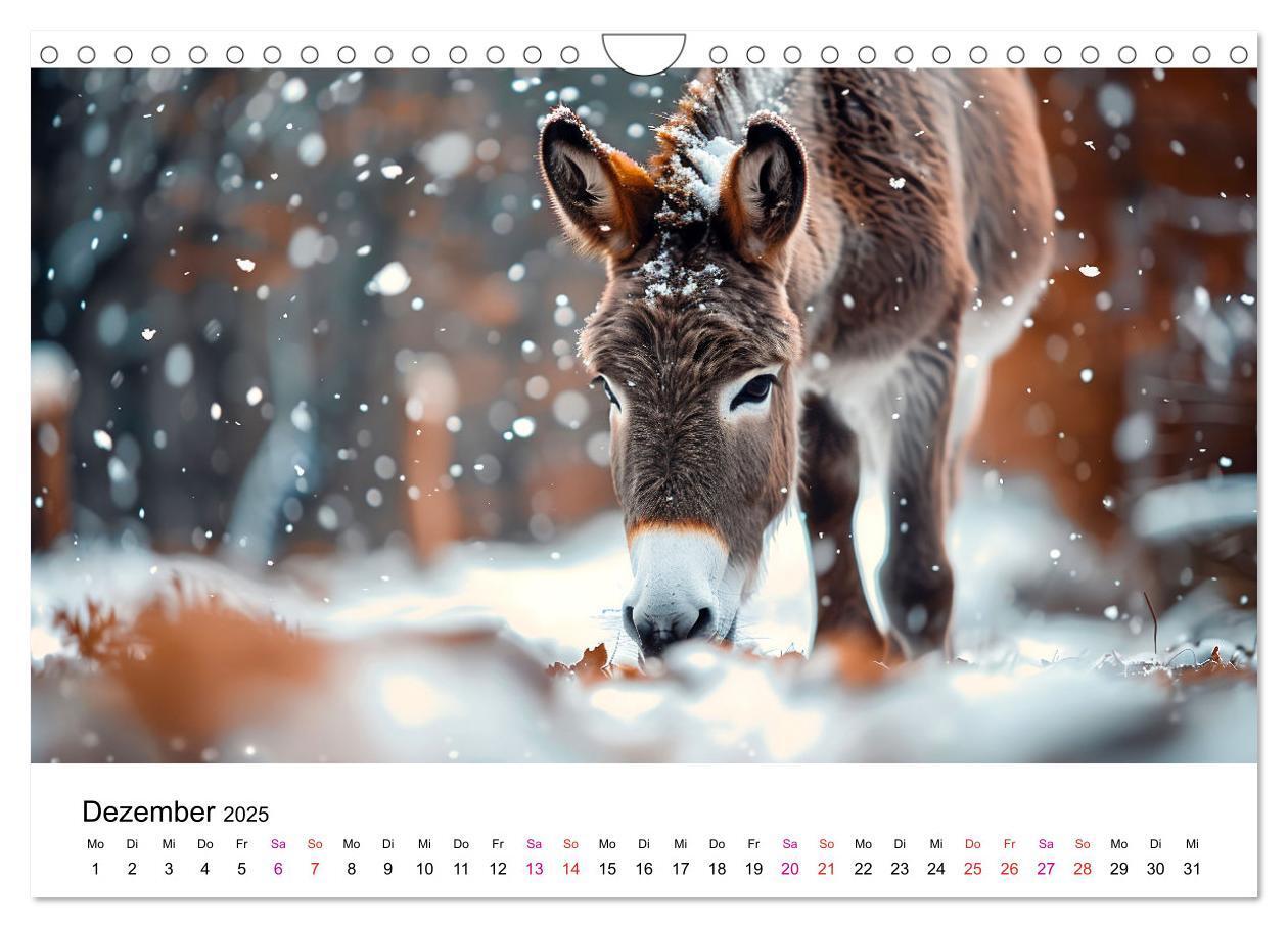 Bild: 9783457215111 | Esel - neugierige Typen (Wandkalender 2025 DIN A4 quer), CALVENDO...