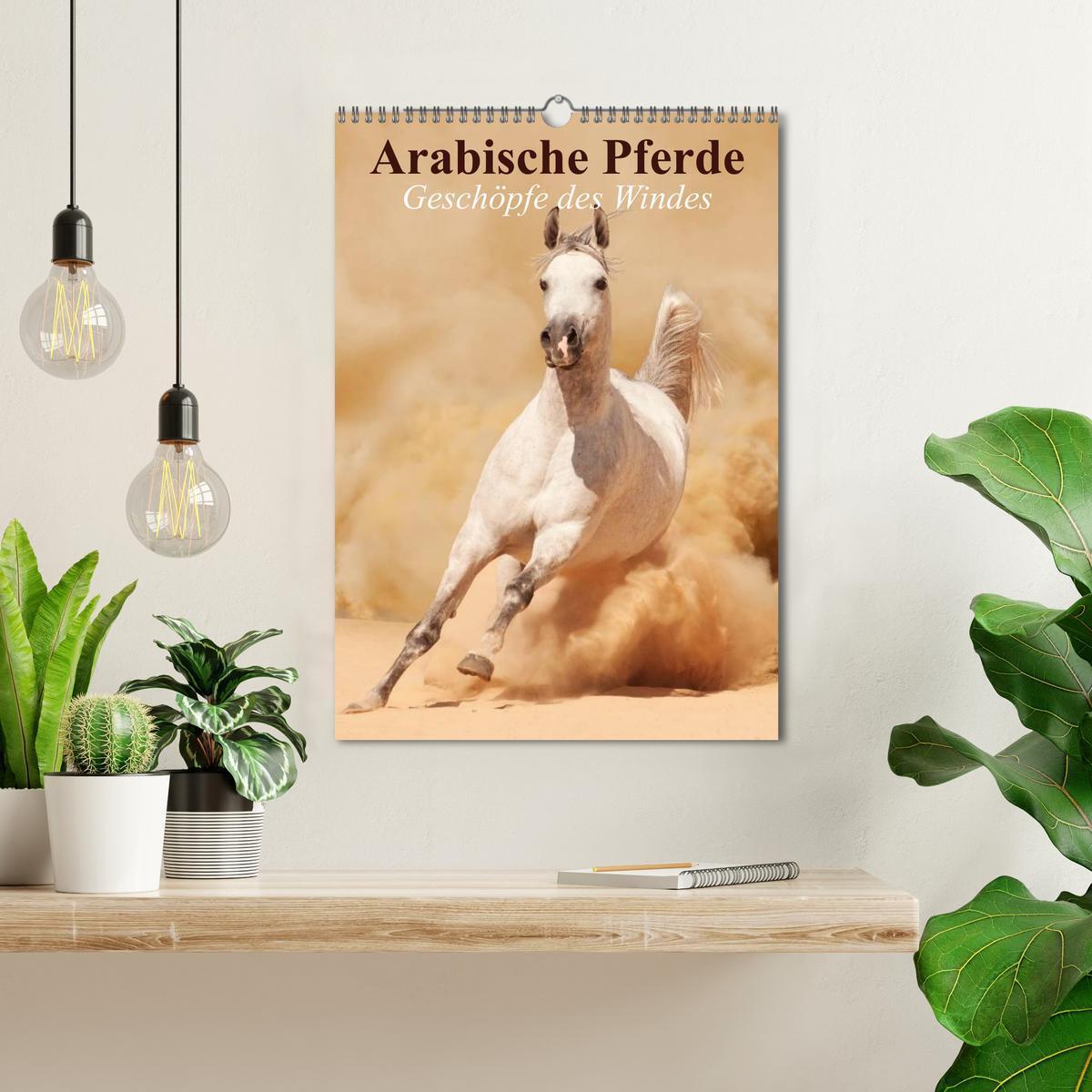 Bild: 9783457056943 | Arabische Pferde ¿ Geschöpfe des Windes (Wandkalender 2025 DIN A3...