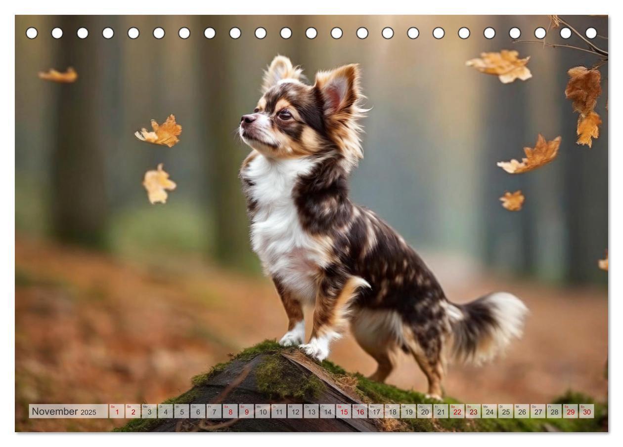 Bild: 9783383811661 | Chihuahuas - Kleine Hunde - große Temperamentbündel (Tischkalender...