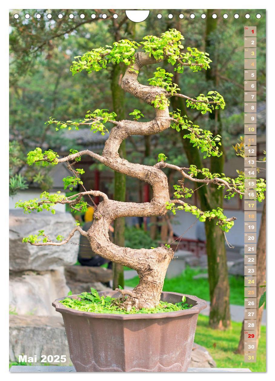 Bild: 9783435848966 | Bonsai: Gartenkunst im Kleinen (Wandkalender 2025 DIN A4 hoch),...