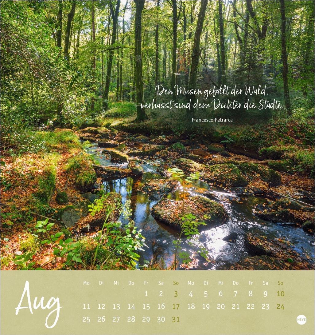 Bild: 9783756407118 | Unser Wald Postkartenkalender 2025 - zauberhafter Ort der Kraft | Heye