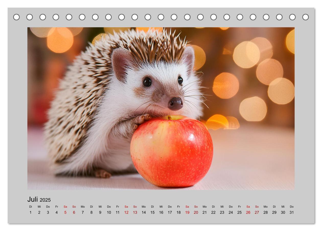 Bild: 9783435516230 | Mein Igel-Kalender (Tischkalender 2025 DIN A5 quer), CALVENDO...