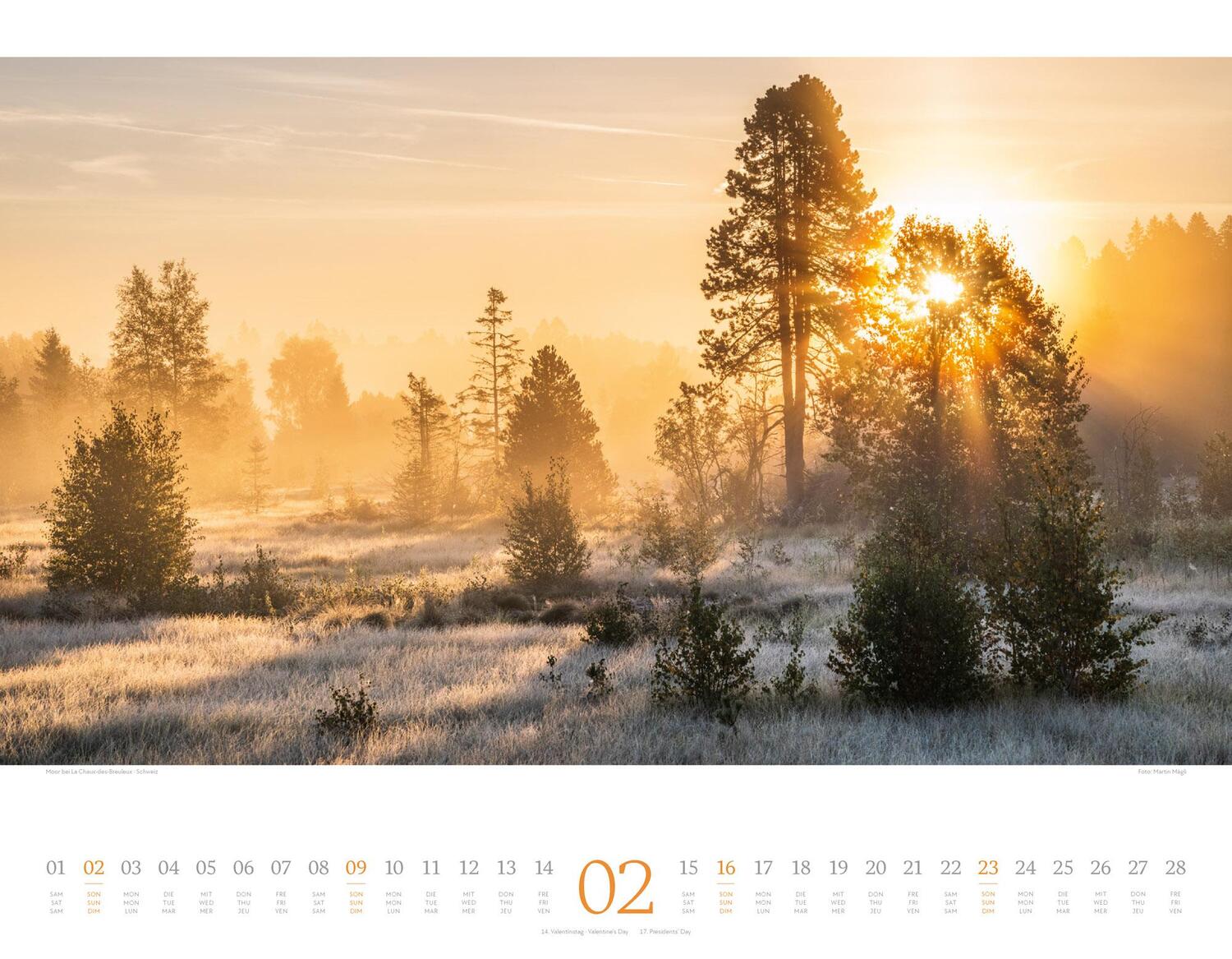 Bild: 9783838425382 | Morgenlicht Kalender 2025 | Ackermann Kunstverlag | Kalender | 14 S.