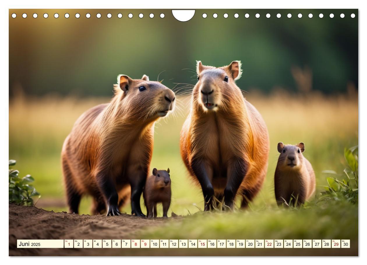 Bild: 9783457143759 | Capybaras - Wasserschweine die Herren der Gräser (Wandkalender 2025...