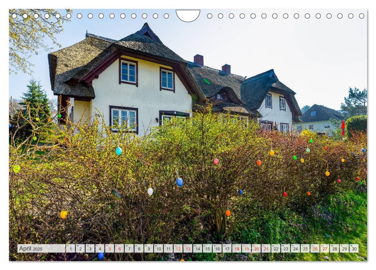 Bild: 9783435239184 | Ahrenshoop Impressionen (Wandkalender 2025 DIN A4 quer), CALVENDO...