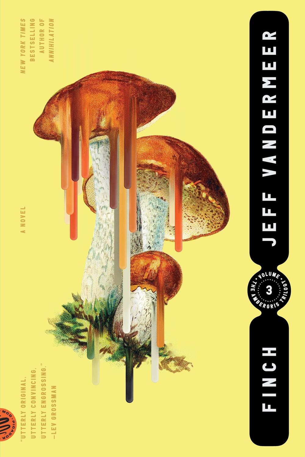 Cover: 9780374538613 | Finch | Jeff VanderMeer | Taschenbuch | Ambergris Trilogy | Englisch