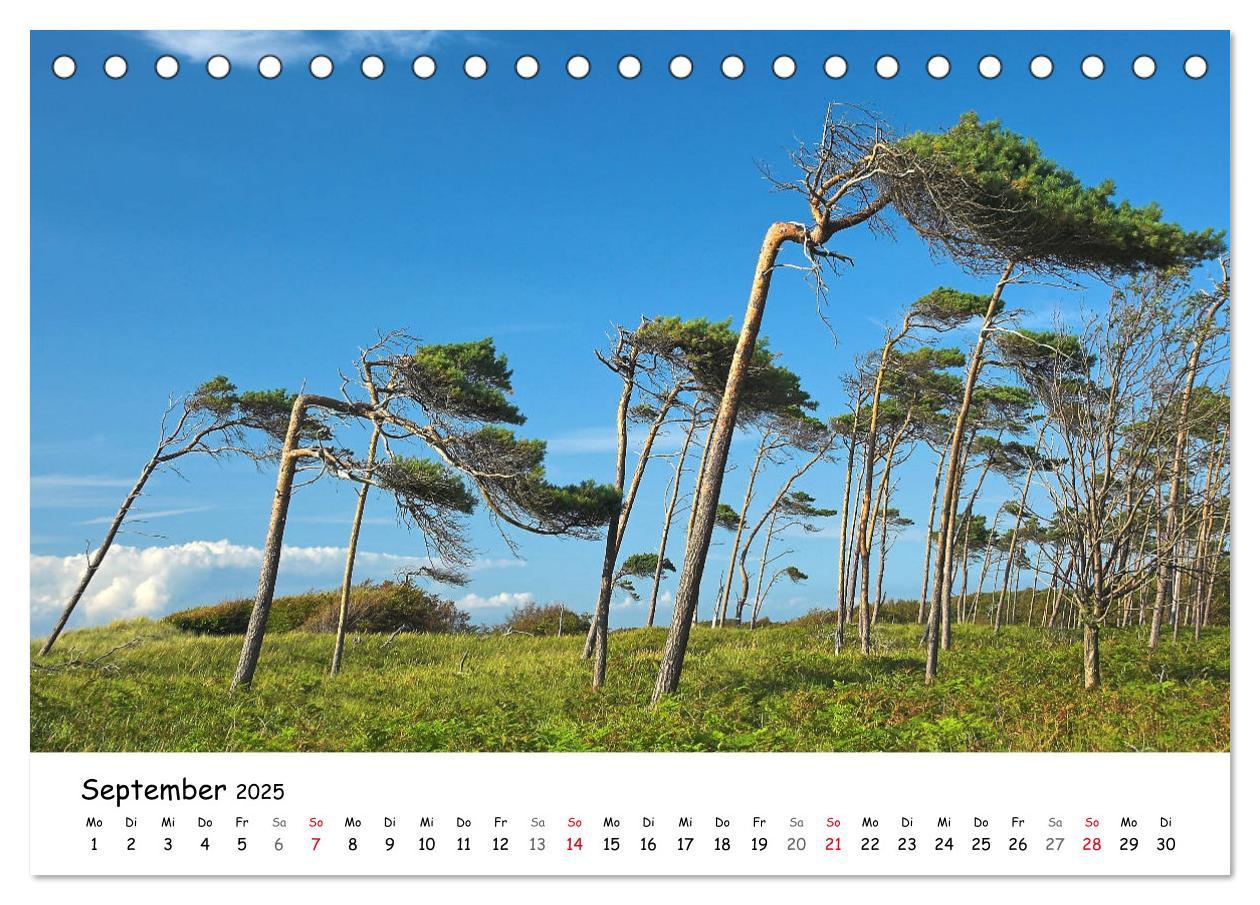 Bild: 9783435433759 | Deutschland- Nordsee und Ostsee (Tischkalender 2025 DIN A5 quer),...